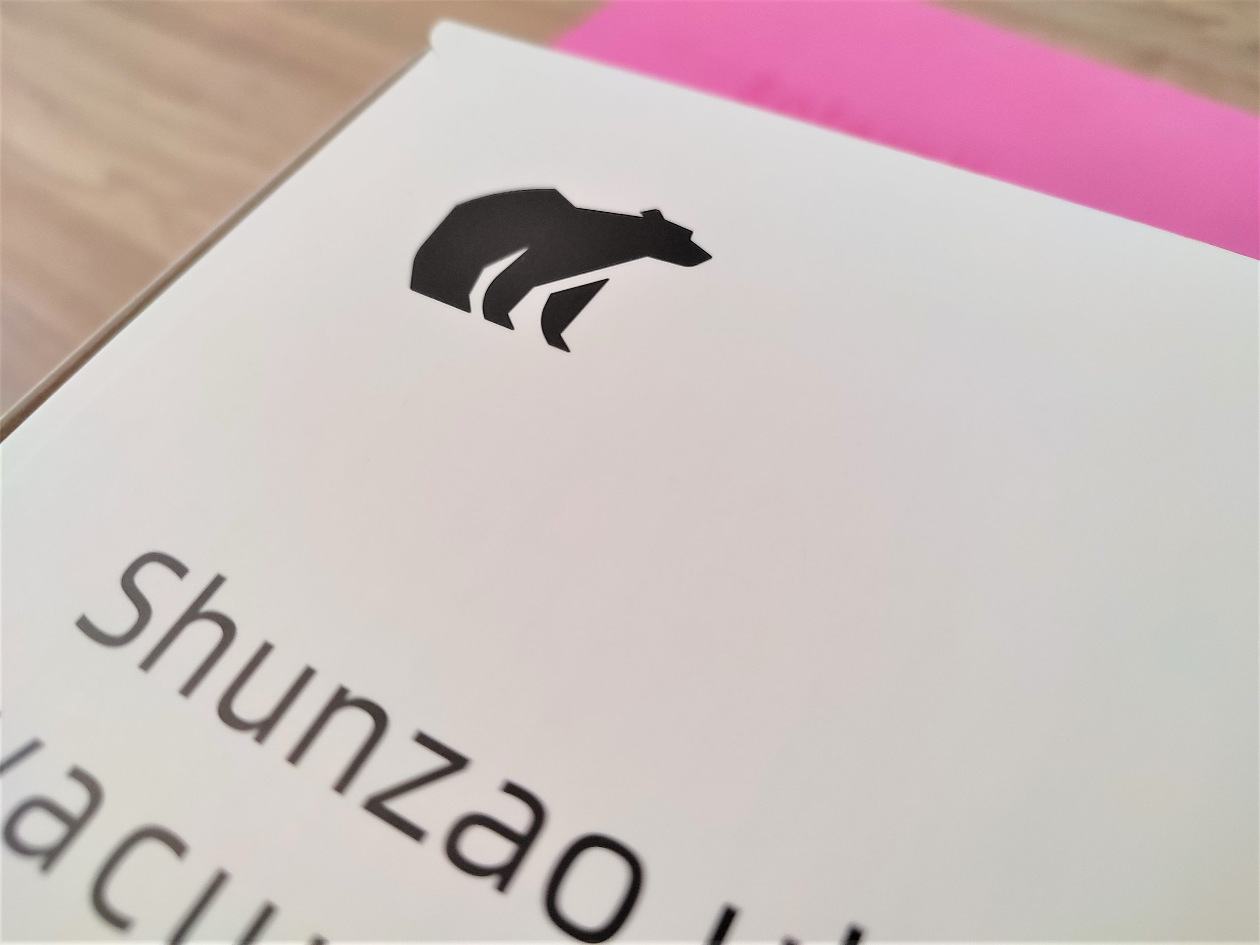 Shunzao L1 Akkusauger Logo auf Verpackung